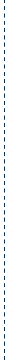 Verticle Dashed Divider